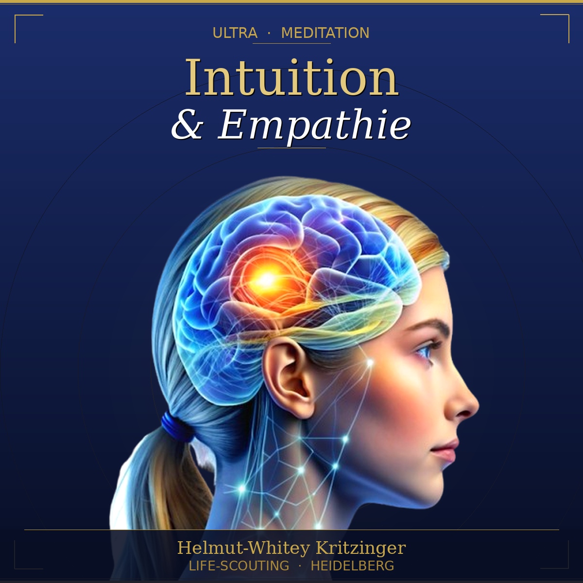 DVD Intuition